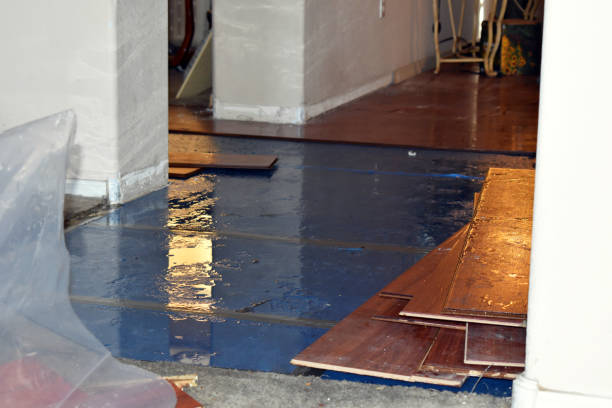 Professional Burst Pipe Cleanup technician working in Emory, TX